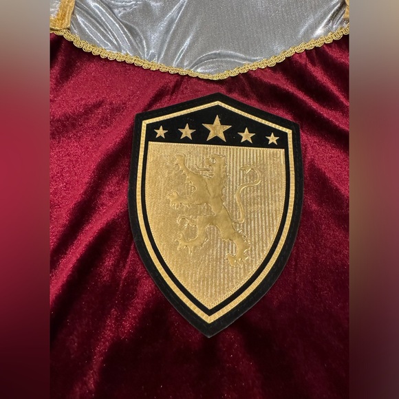 Kids Dragon Slayer Costume - Picture 5 of 9